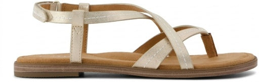 Toms Luz Gold