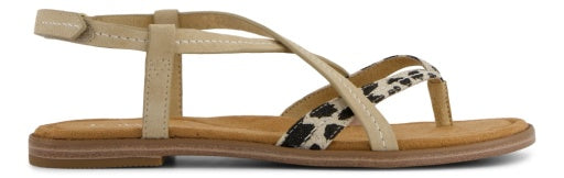 Toms Luz Natural