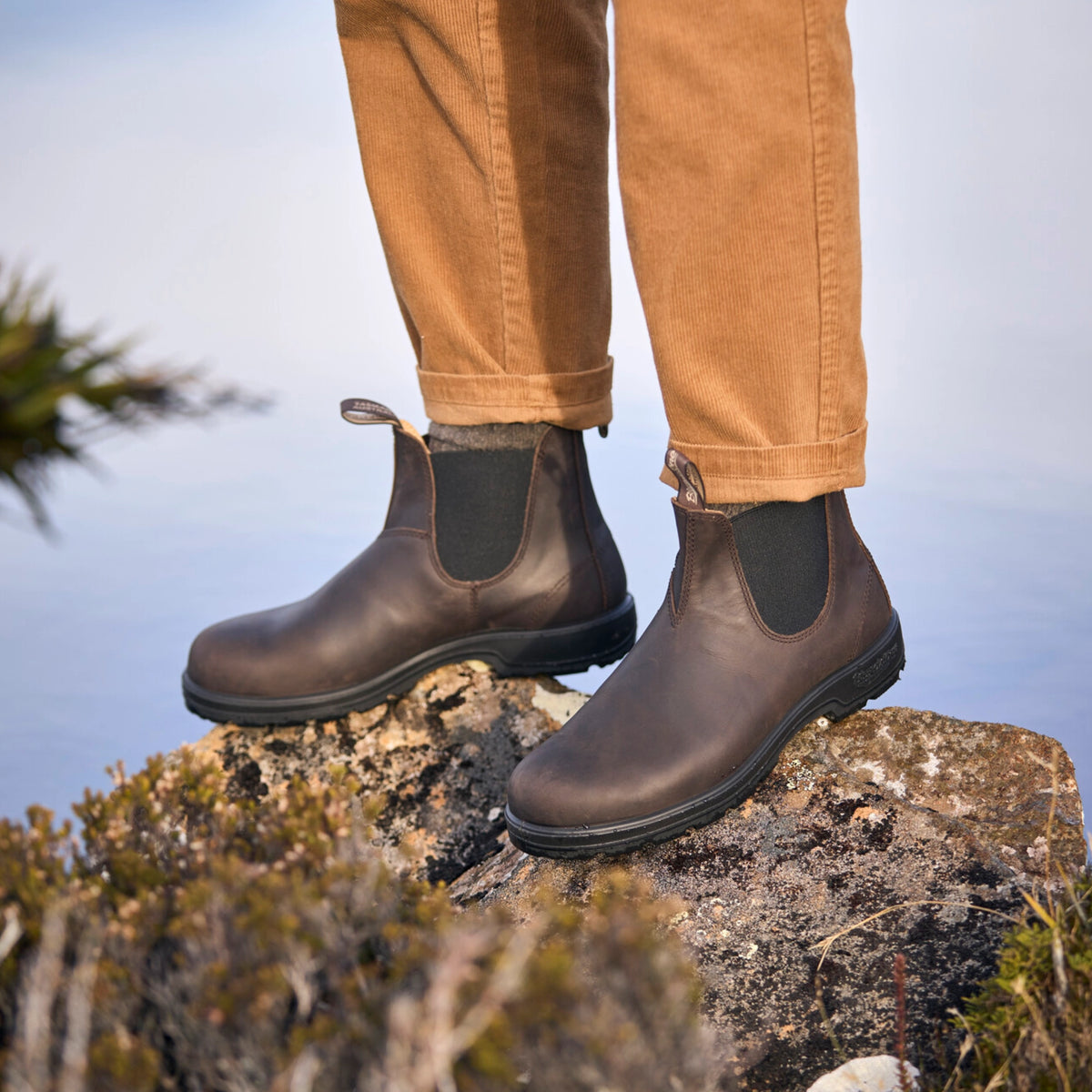 Blundstone Classic 2340, Seal Brown