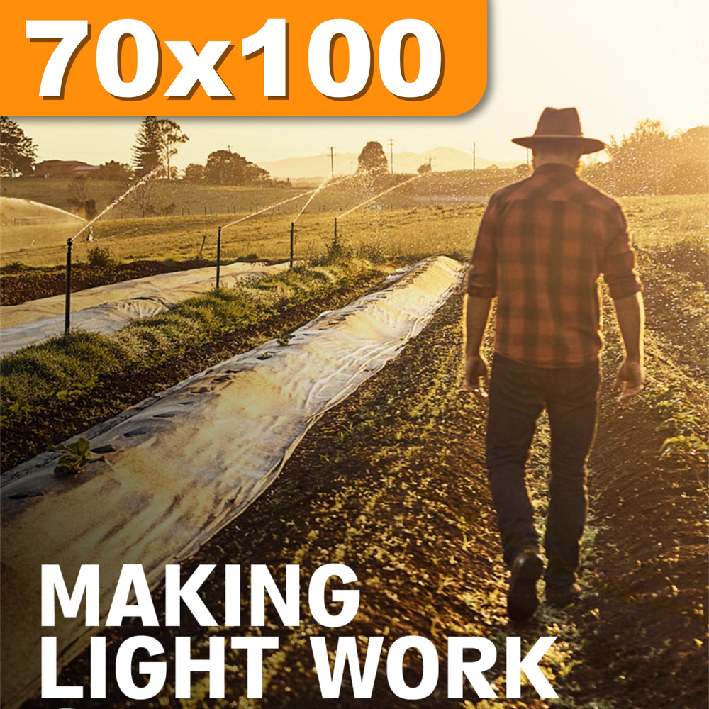 70 x 100 Plakat