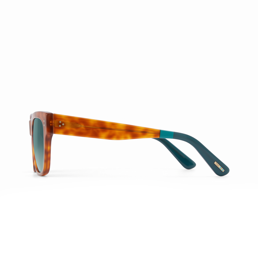 Toms James Honey Tortoise